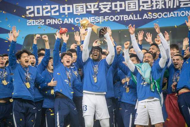 精品国产高清久久久久久小说