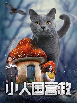 国产孕妇在线