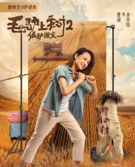 一区二区三区视频在线观看
