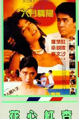 黄页网站视频