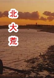 美国农夫十次啦
