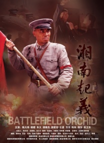 免费在线观看一区