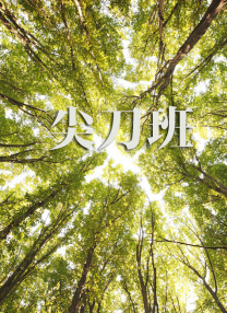 国产成人综合洲欧美在线