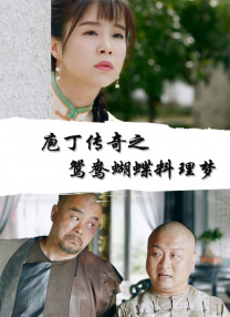 国产精品视频h