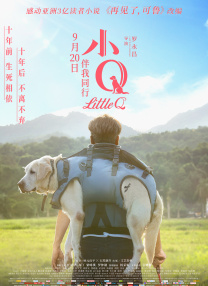 午夜免费啪视频观看视频