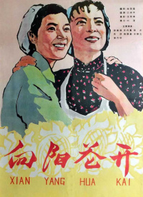 插下面视频