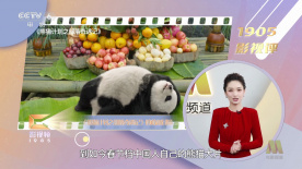 亚洲第一成年网